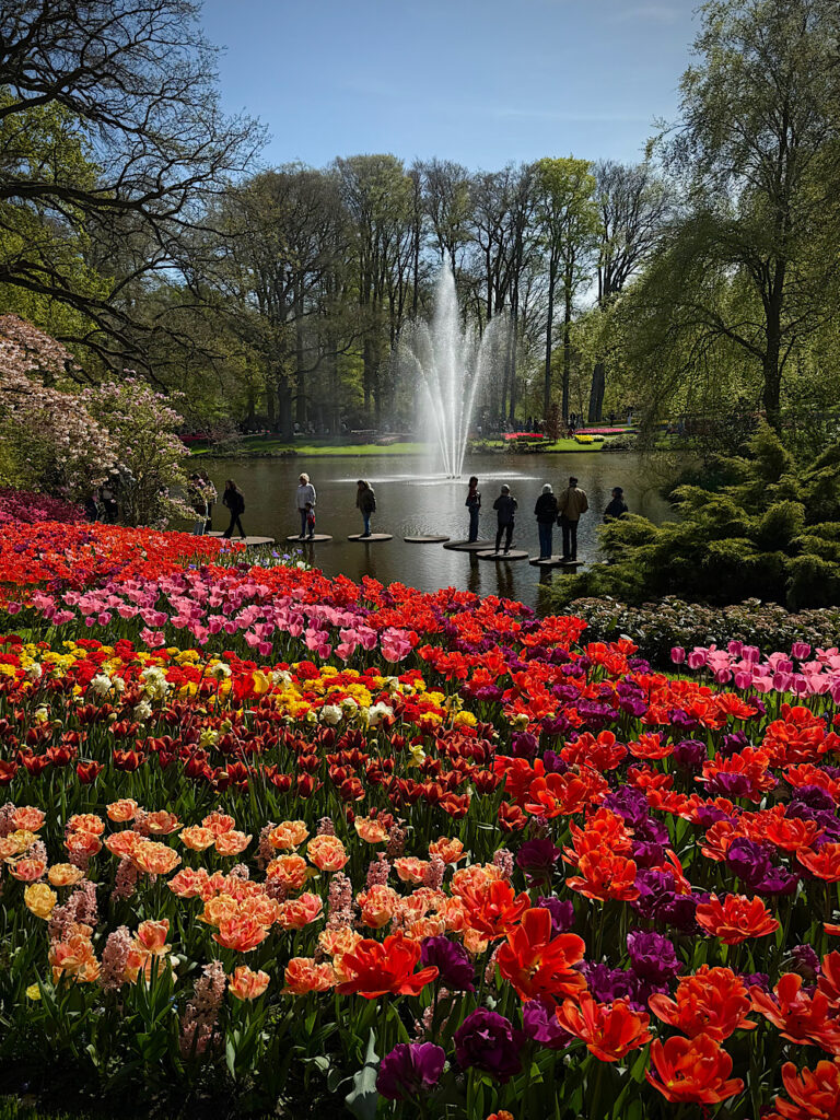 Jezioro i tulipany w Holandii - Keukenhof